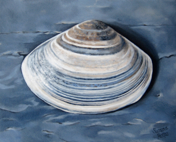 Contemplation: Surf Clam in Grays by Susanna Pantas